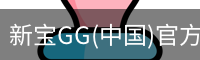 新宝GG